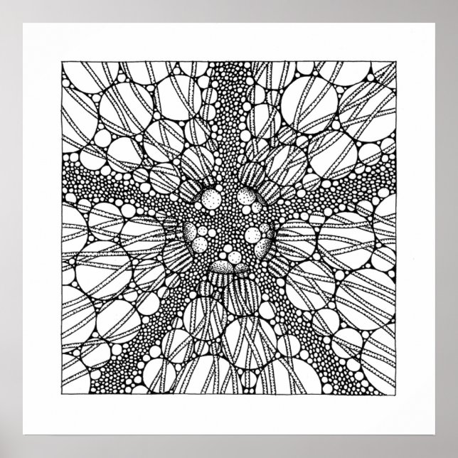 Pôster Estrela (Frente)