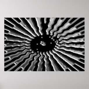 Pôster Estrela de Prata - Plexos Solares