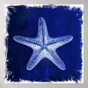 Pôster estrela do mar azul náutica rústica da praia