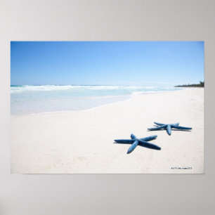 Poster Estrela do mar de dois azuis na borda da água em 