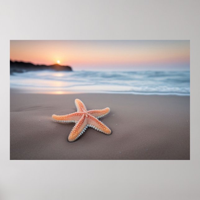 Poster Estrela-do-mar Deitada numa Praia (Frente)