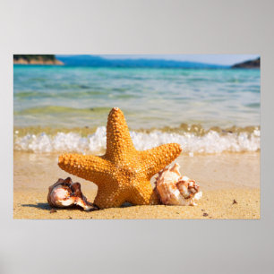 Pôster Estrela do mar e Seashells na praia
