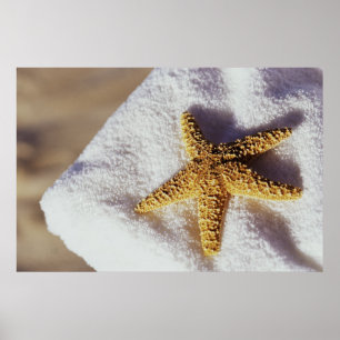 Poster Estrela do mar em uma toalha