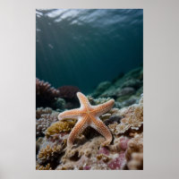 Estrela-do-mar no Mar Profundo