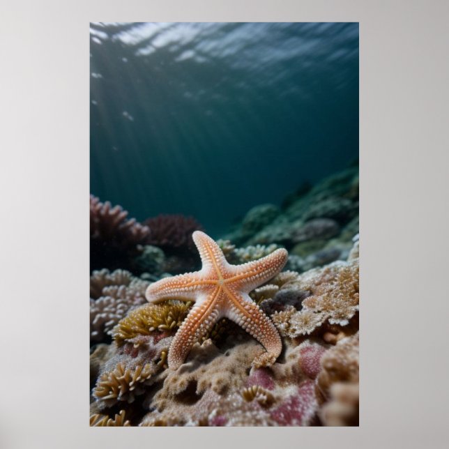 Poster Estrela-do-mar no Mar Profundo (Frente)