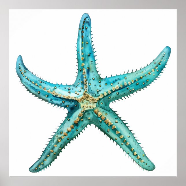 Poster Estrela-do-mar turquesa 24 x 24 (Frente)