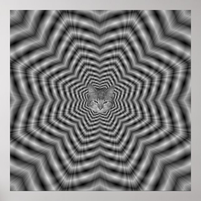 Poster Estrelas + Cat (Frente)