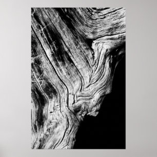 Pôster estrelas dizem isso