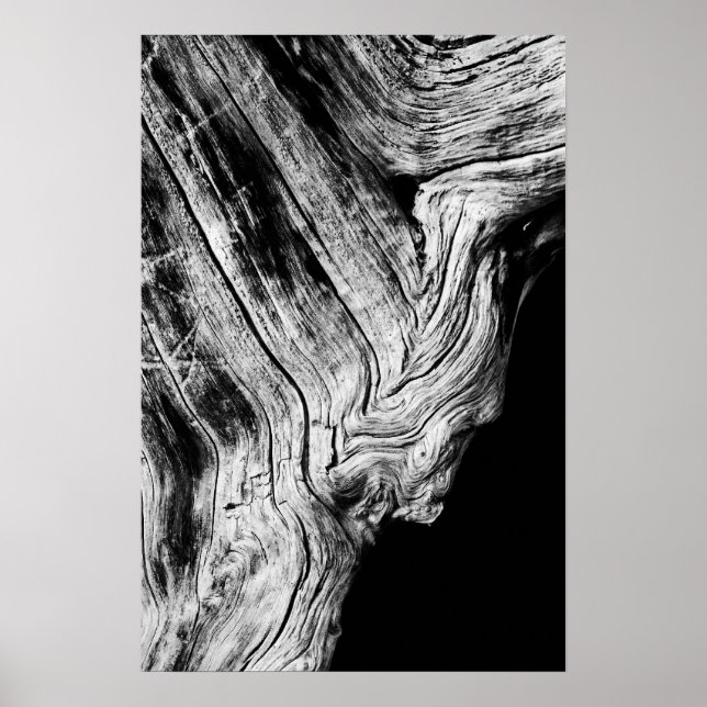 Pôster estrelas dizem isso (Frente)