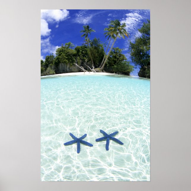 Poster Estrelas do mar, Ilhas Rochosas, Palau (Frente)