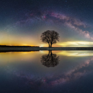 Poster Estrelas em reflexo com água