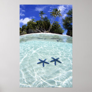 Pôster Estrelas marinhas, Ilhas Rock, Palau 2