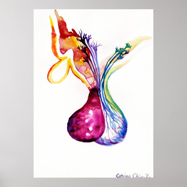 Poster Estrutura hipofisária (Frente)