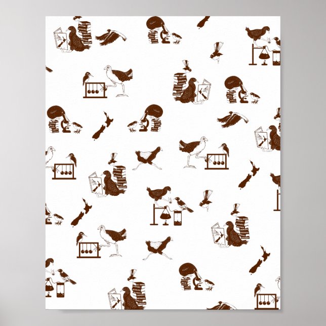 Poster Estudantes de Ciências de Aves da Nova Zelândia (Frente)
