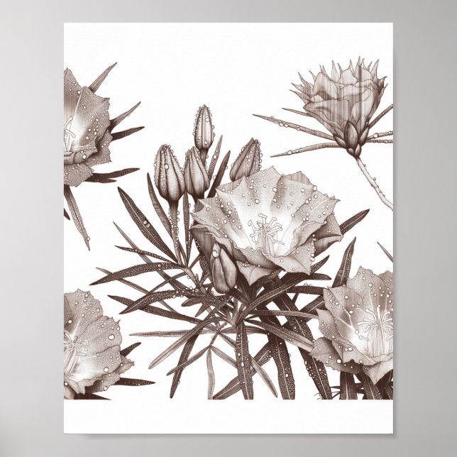 Poster Estudo Botânico - Flores Silvestres do Deserto (Frente)