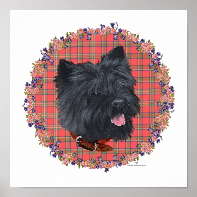 Poster Estudo da Cabeça do Cairn Negro (Frente)