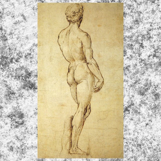 Pôster Estudo da estátua David de Michelangelo por Raphae (Criador carregado)