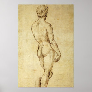 Pôster Estudo da estátua David de Michelangelo por Raphae