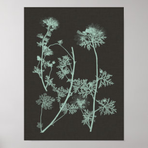 Poster Estudo da Natureza Menta e Carvão IV