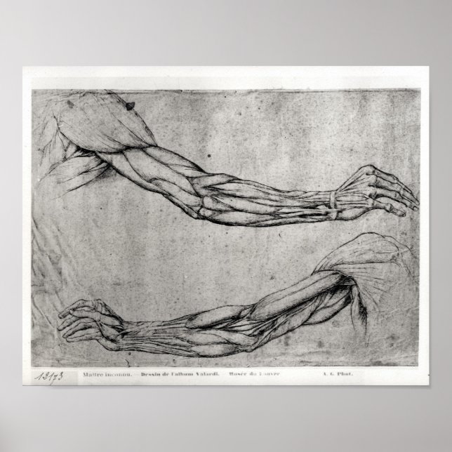 Pôster Estudo de Armas (Frente)