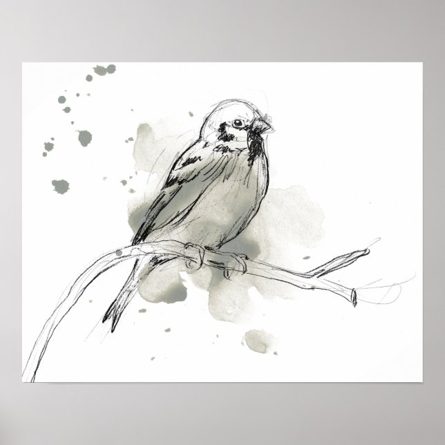 Poster Estudo de aves gesturais (Frente)