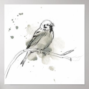 Poster Estudo de aves gesturais