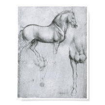 Estudo de Cavalos, Leonardo Da Vinci
