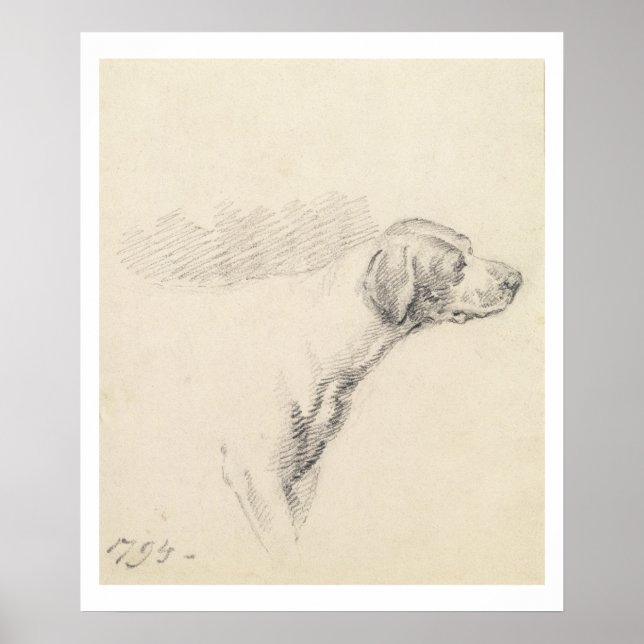 Poster Estudo de Hound, 1794 (lápis no papel) (Frente)