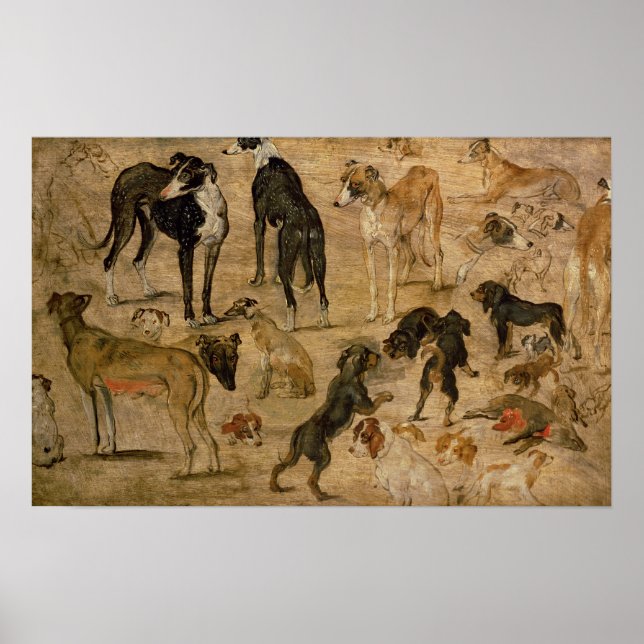 Poster Estudo de Hounds, 1616 (Frente)