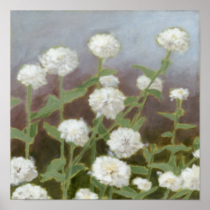 Poster Estudo de Jardim Botânico I