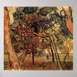 Pôster Estudo de Pine Trees por Vincent van Gogh