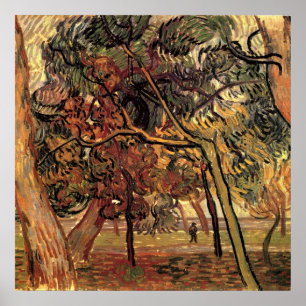Pôster Estudo de Pine Trees por Vincent van Gogh