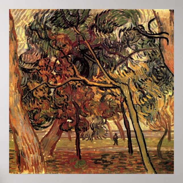 Pôster Estudo de Pinheiros por Vincent van Gogh (Frente)