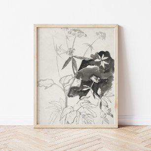 Poster Estudo de Planta   Carel Adolph Cachet