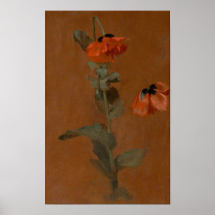 Poster Estudo de Poppies - James Inskipp