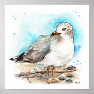 Poster Estudo de Seagull 2