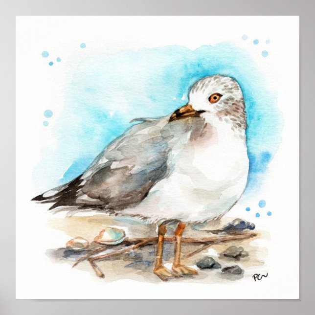 Poster Estudo de Seagull 2 (Frente)