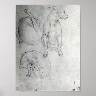 Poster Estudo de um cão e de um gato, c.1480