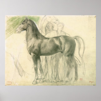 Poster Estudo de um cavalo com números