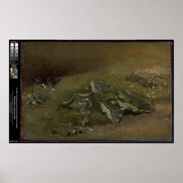 Poster Estudo de uma Burdock - John Constable (Frente)