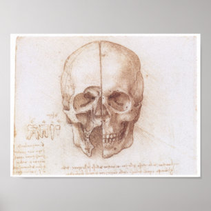 Poster Estudo do crânio humano, Leonardo da Vinci