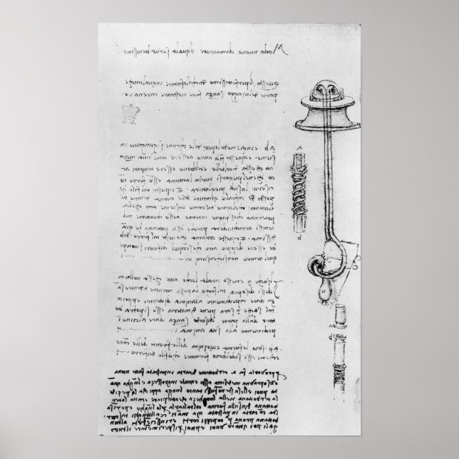 Pôster Estudo do flutuador com tubos respiratórios para m (Frente)