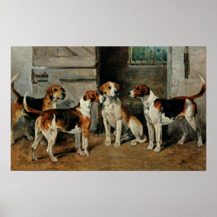 Pôster Estudo dos cães