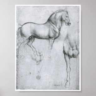 Pôster Estudo dos cavalos, Leonardo da Vinci
