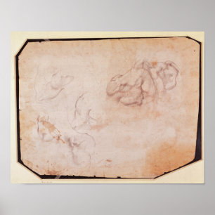 Pôster Estudo dos músculos