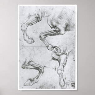 Pôster Estudo dos pés de um cavalo, Leonardo da Vinci