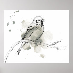 Poster Estudo Gestural sobre Aves