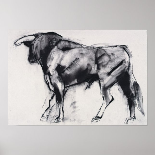 Pôster Estudo Toro Azul (Frente)