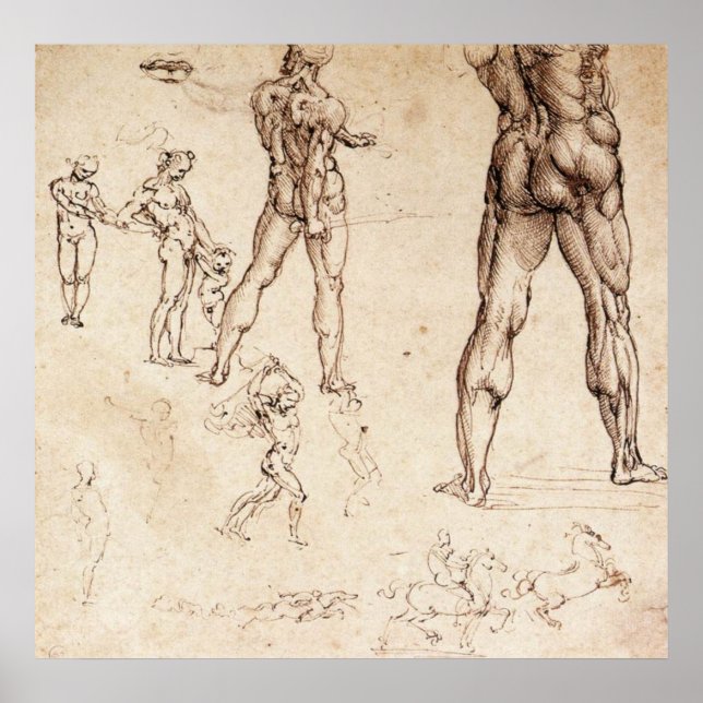 Poster Estudos Anatômicos (Frente)