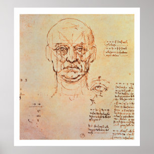 Pôster Estudos das Proporções do Rosto e Olho, 14